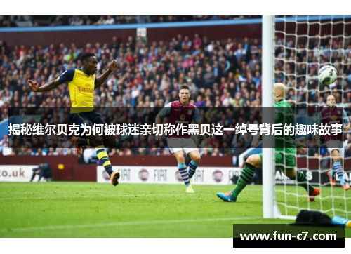 揭秘维尔贝克为何被球迷亲切称作黑贝这一绰号背后的趣味故事 揭秘维尔贝克为何被球迷亲切称作黑贝这一绰号背后的趣味故事