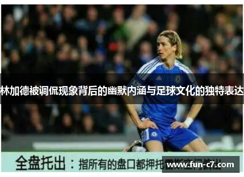 林加德被调侃现象背后的幽默内涵与足球文化的独特表达