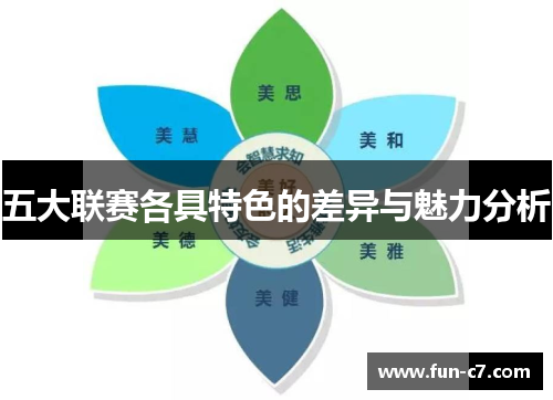 五大联赛各具特色的差异与魅力分析 五大联赛各具特色的差异与魅力分析
