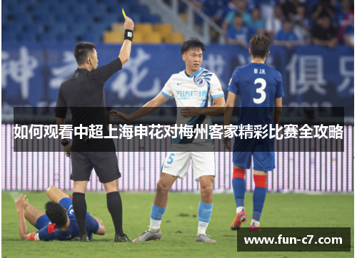 如何观看中超上海申花对梅州客家精彩比赛全攻略