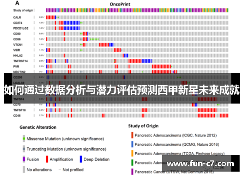 如何通过数据分析与潜力评估预测西甲新星未来成就 如何通过数据分析与潜力评估预测西甲新星未来成就