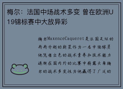 梅尔：法国中场战术多变 曾在欧洲U19锦标赛中大放异彩